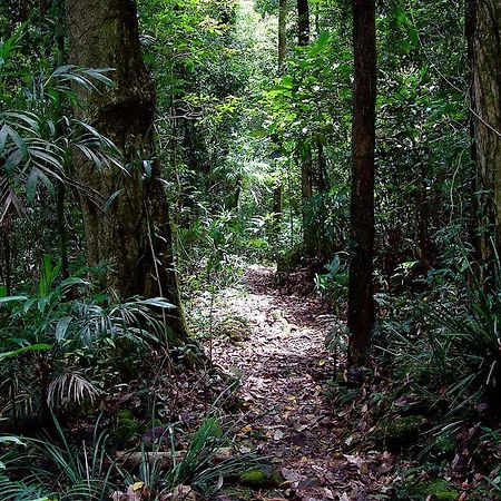 Vila Springbrook Lyrebird Retreat Exteriér fotografie