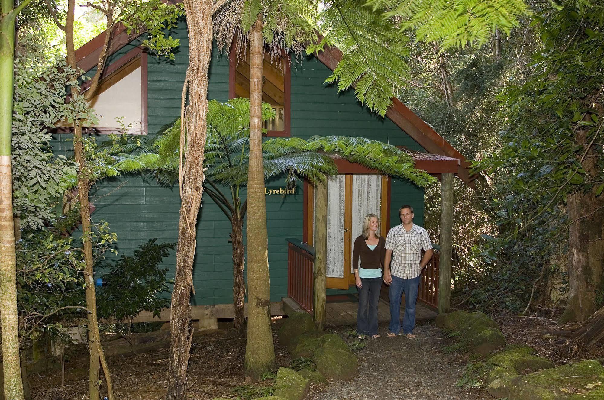 Vila Springbrook Lyrebird Retreat Exteriér fotografie