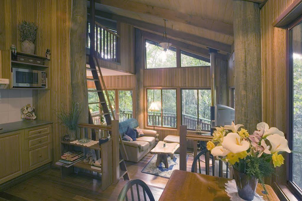 Vila Springbrook Lyrebird Retreat Exteriér fotografie