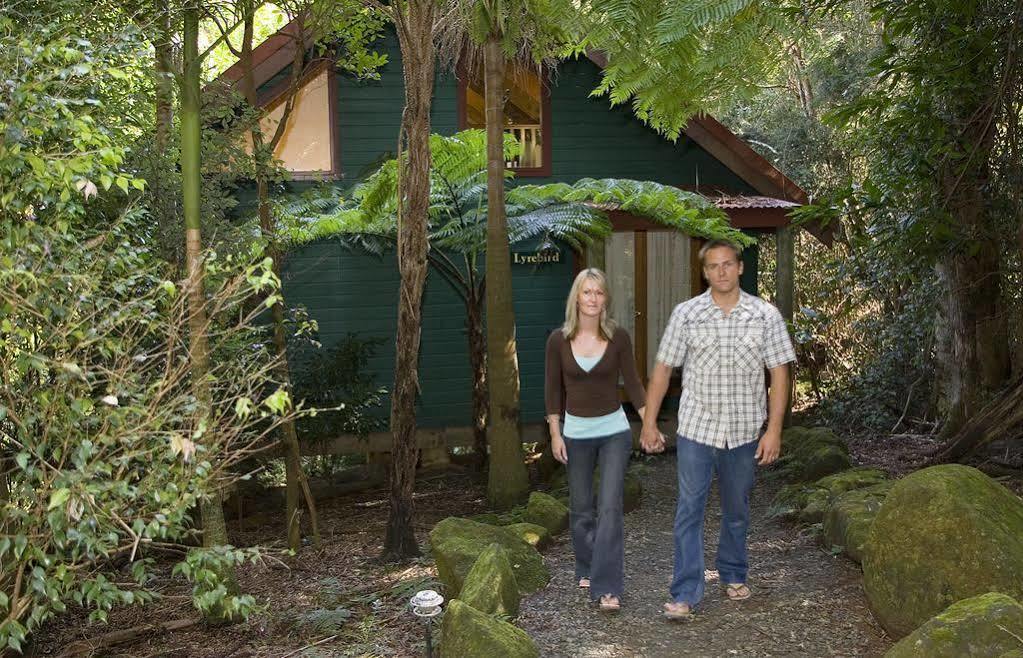 Vila Springbrook Lyrebird Retreat Exteriér fotografie